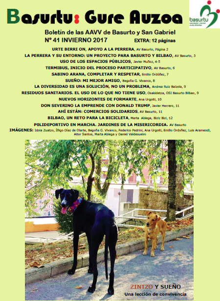 boletin_41